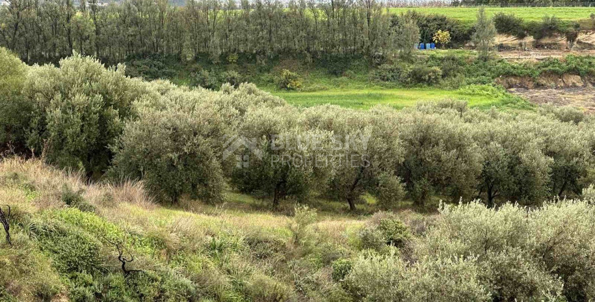 Land For Sale In Nikokleia Paphos Cyprus