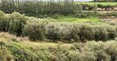 Land For Sale In Nikokleia Paphos Cyprus