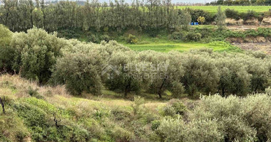 Land For Sale In Nikokleia Paphos Cyprus