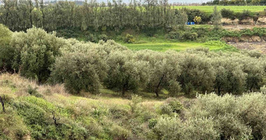 Land For Sale In Nikokleia Paphos Cyprus