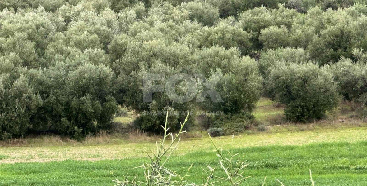 Land For Sale In Nikokleia Paphos Cyprus