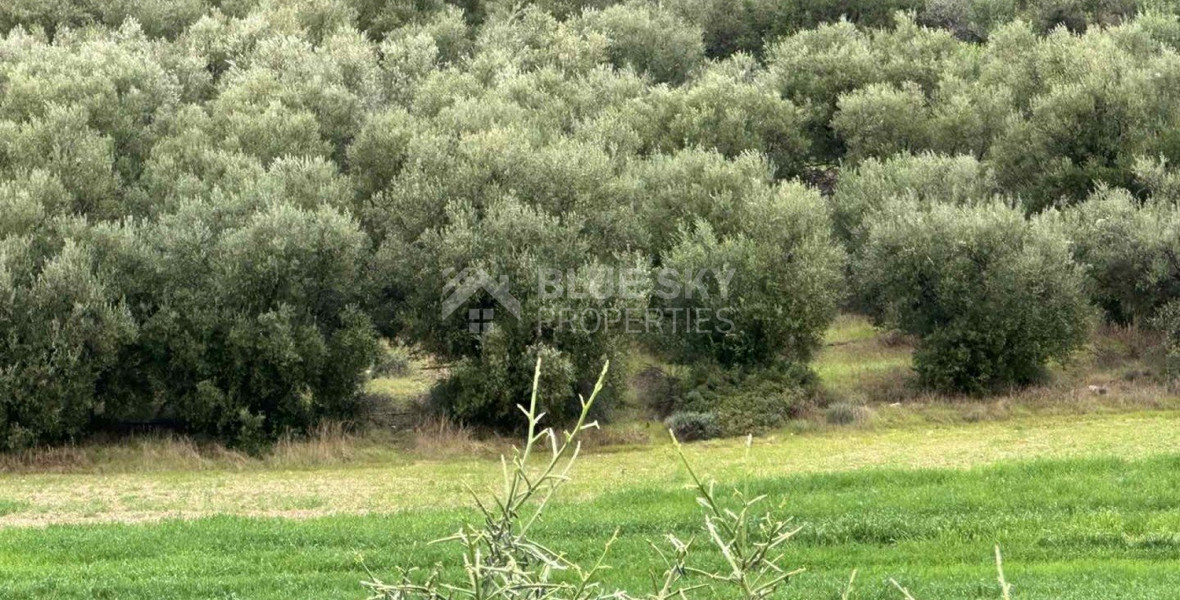 Land For Sale In Nikokleia Paphos Cyprus