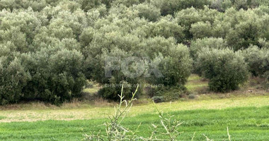 Land For Sale In Nikokleia Paphos Cyprus