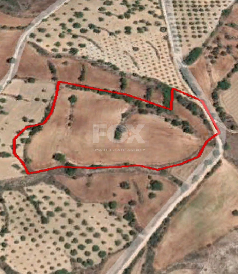 Land For Sale In Drymou Paphos Cyprus