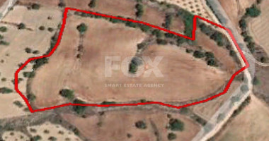 Land For Sale In Drymou Paphos Cyprus