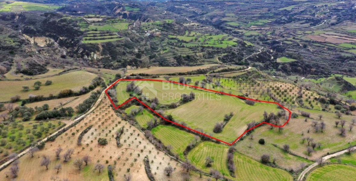 Land For Sale In Drymou Paphos Cyprus