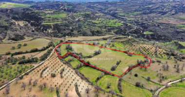 Land For Sale In Drymou Paphos Cyprus