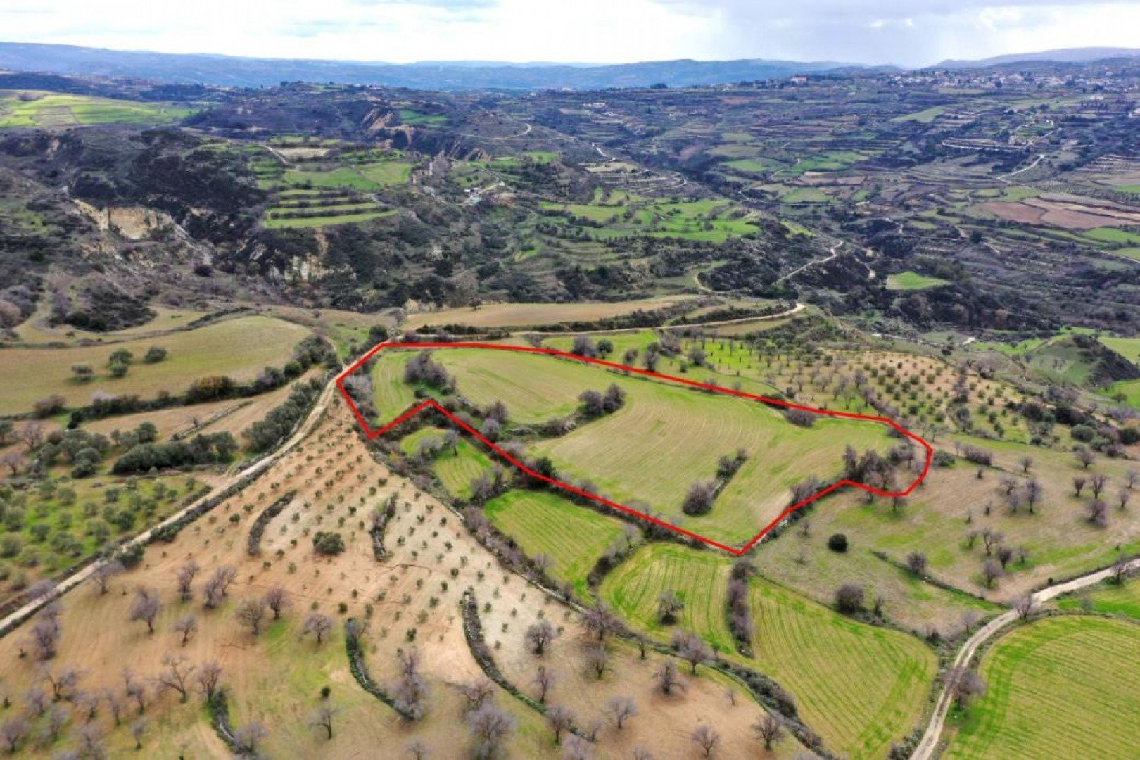 Land  Drymou, Cyprus