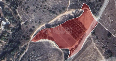 Land For Sale In Mesogi Paphos Cyprus