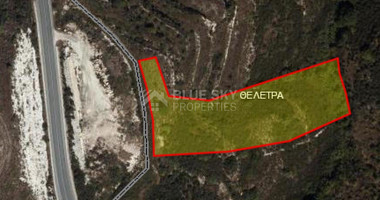 Land For Sale In Theletra Paphos Cyprus