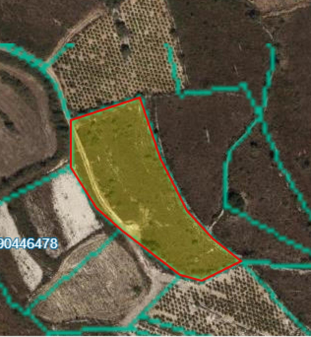 Mieszkanie  Kathikas, Cypr