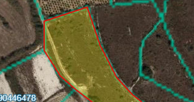 Land In Kathikas Paphos Cyprus
