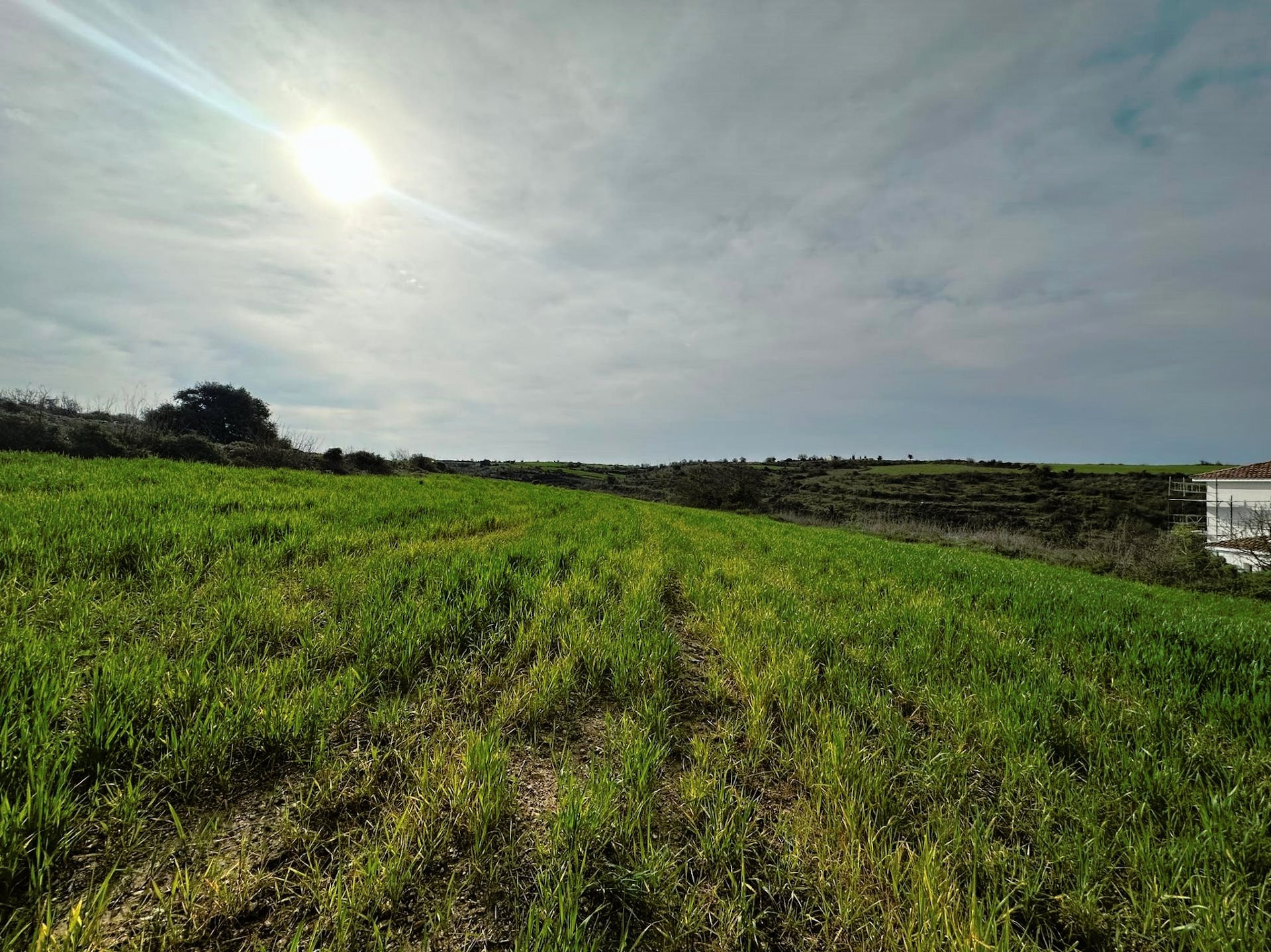 Mieszkanie  Kathikas, Cypr