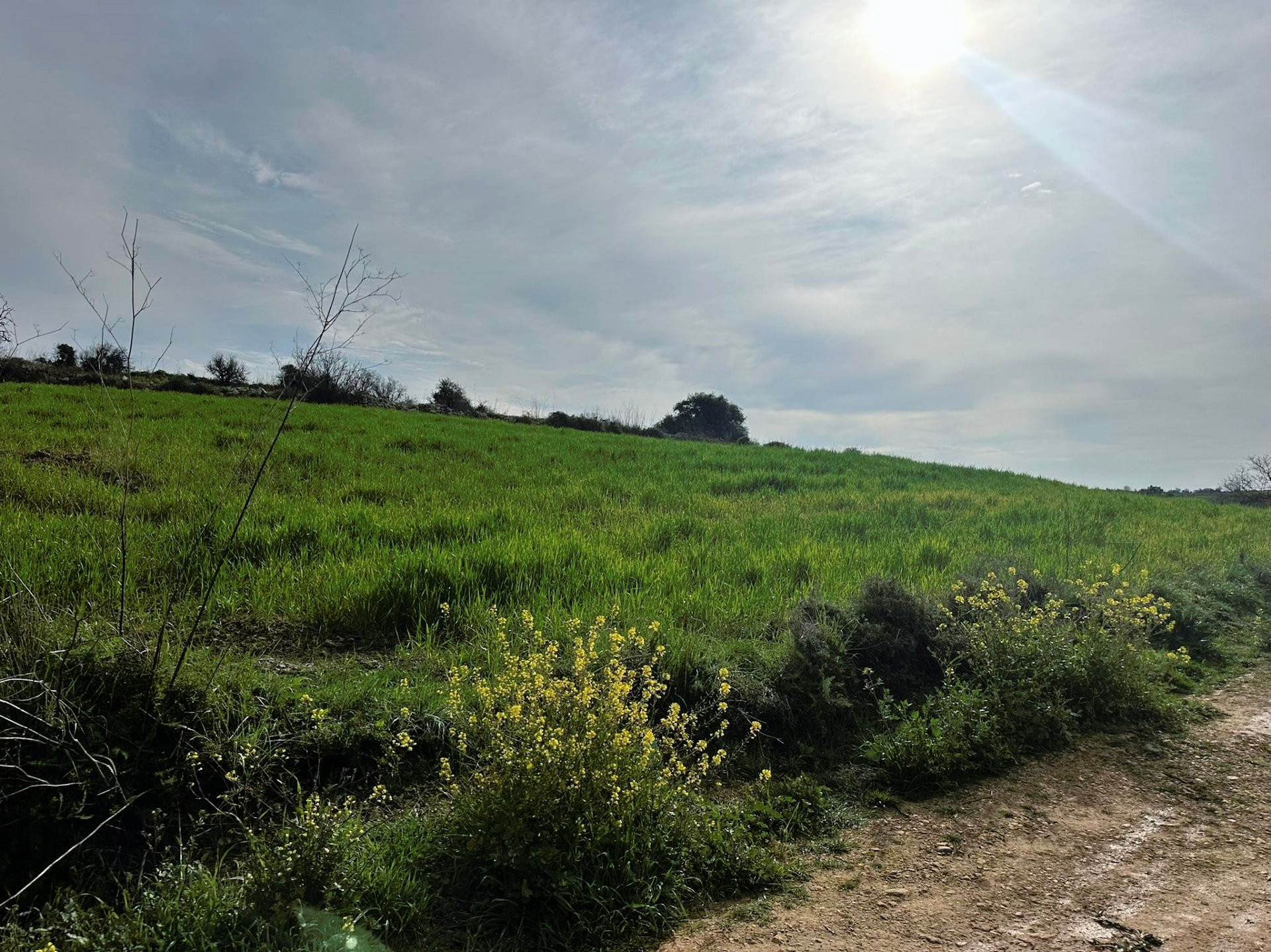 Mieszkanie  Kathikas, Cypr