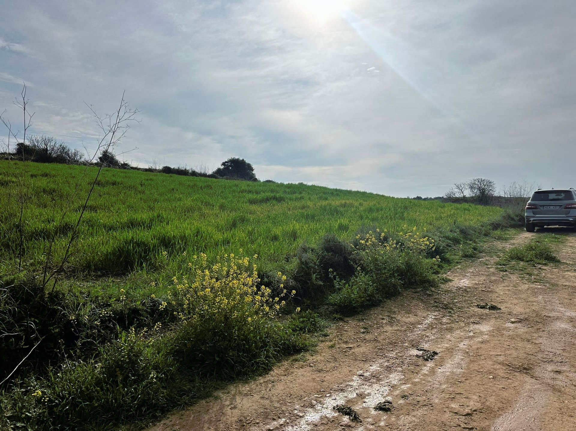 Mieszkanie  Kathikas, Cypr