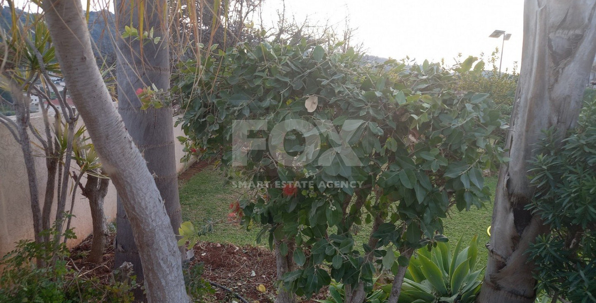 4 Bed House To Rent In Pissouri Limassol Cyprus