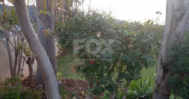 4 Bed House To Rent In Pissouri Limassol Cyprus