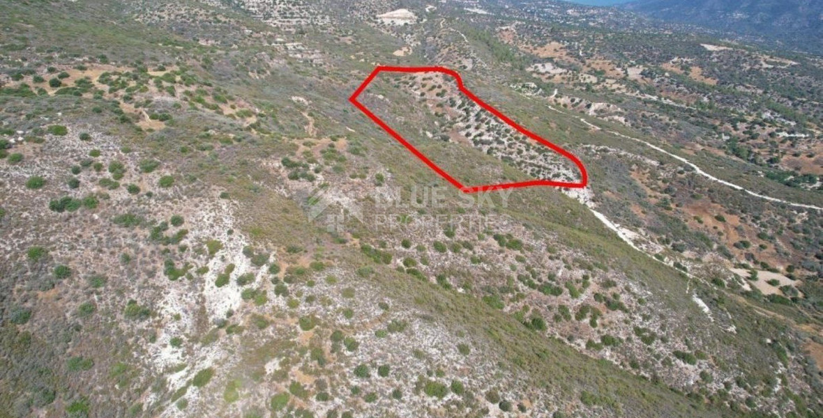 Land For Sale In Akrounta Limassol Cyprus