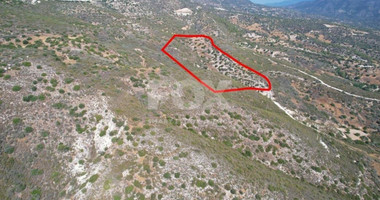 Land For Sale In Akrounta Limassol Cyprus
