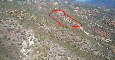 Land For Sale In Akrounta Limassol Cyprus