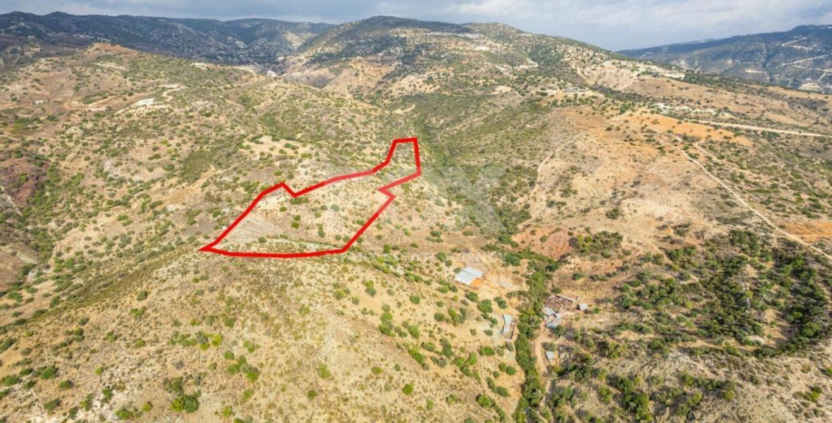 Land in Pegeia Paphos Cyprus