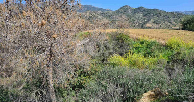 Land For Sale In Kalo Chorio Lemesou Limassol Cyprus