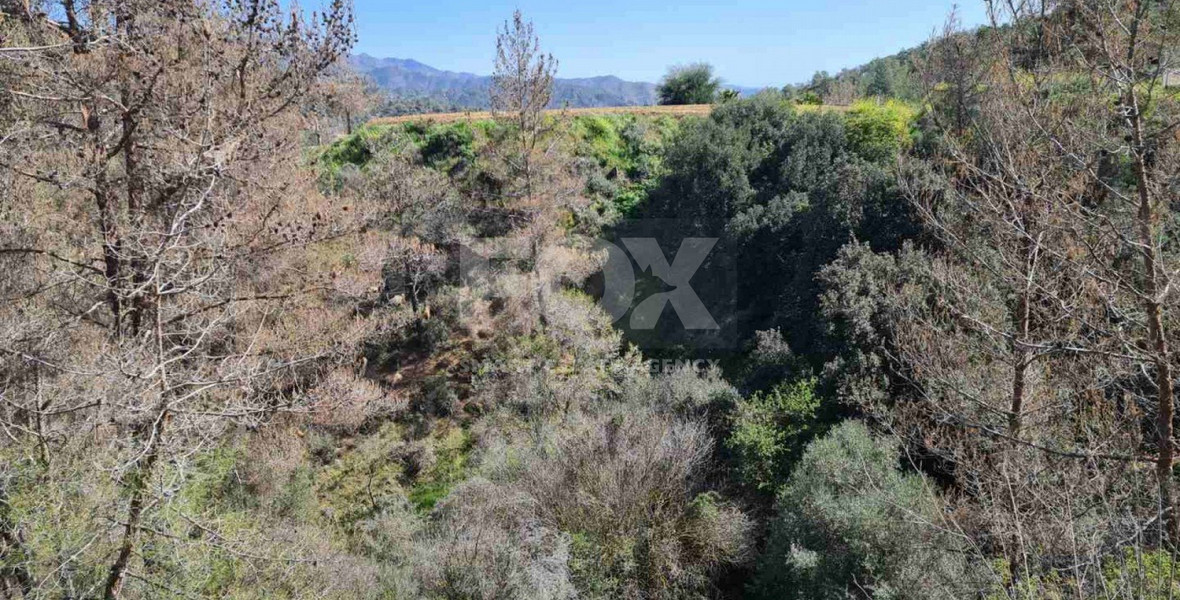 Land For Sale In Kalo Chorio Lemesou Limassol Cyprus