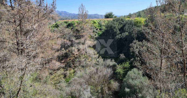 Land For Sale In Kalo Chorio Lemesou Limassol Cyprus