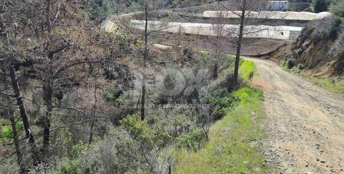 Land For Sale In Kalo Chorio Lemesou Limassol Cyprus