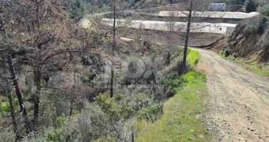 Land For Sale In Kalo Chorio Lemesou Limassol Cyprus