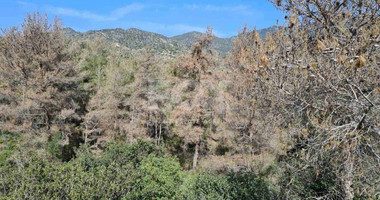 Land For Sale In Kalo Chorio Lemesou Limassol Cyprus