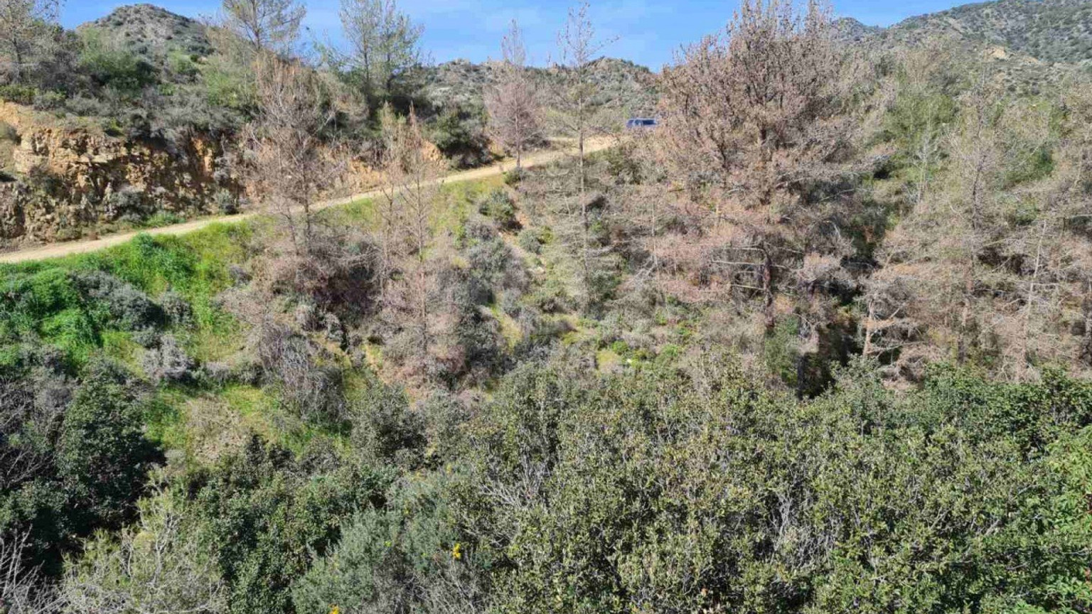 Land For Sale In Kalo Chorio Lemesou Limassol Cyprus