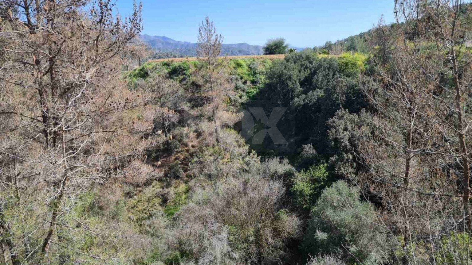 Land For Sale In Kalo Chorio Lemesou Limassol Cyprus