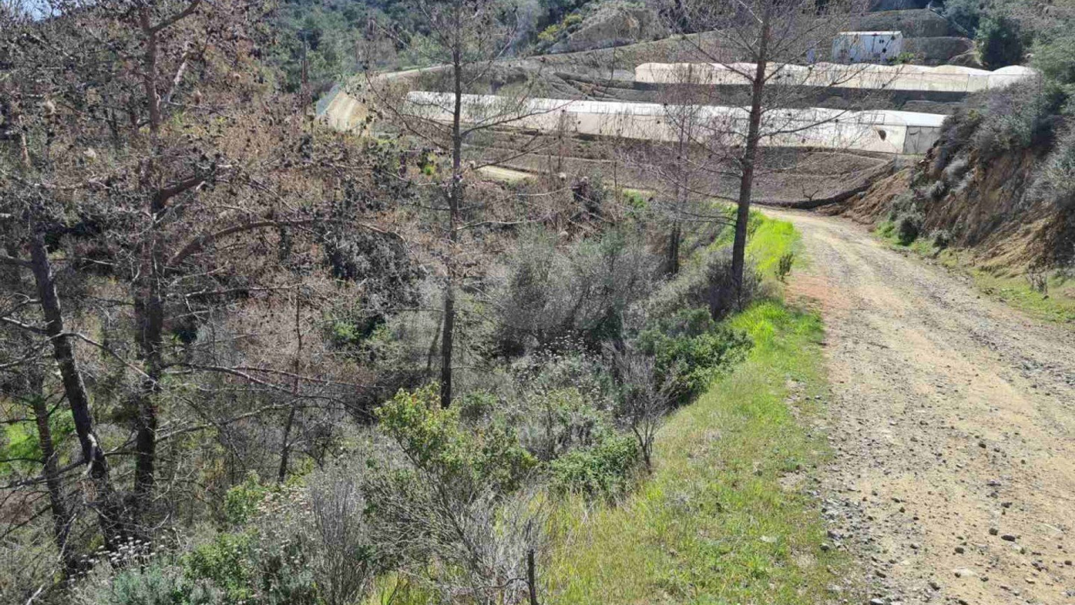 Land For Sale In Kalo Chorio Lemesou Limassol Cyprus