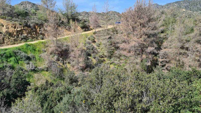 Land For Sale In Kalo Chorio Lemesou Limassol Cyprus