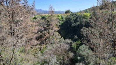 Land For Sale In Kalo Chorio Lemesou Limassol Cyprus