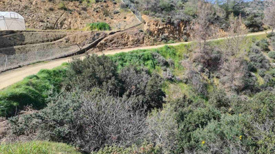 Land For Sale In Kalo Chorio Lemesou Limassol Cyprus