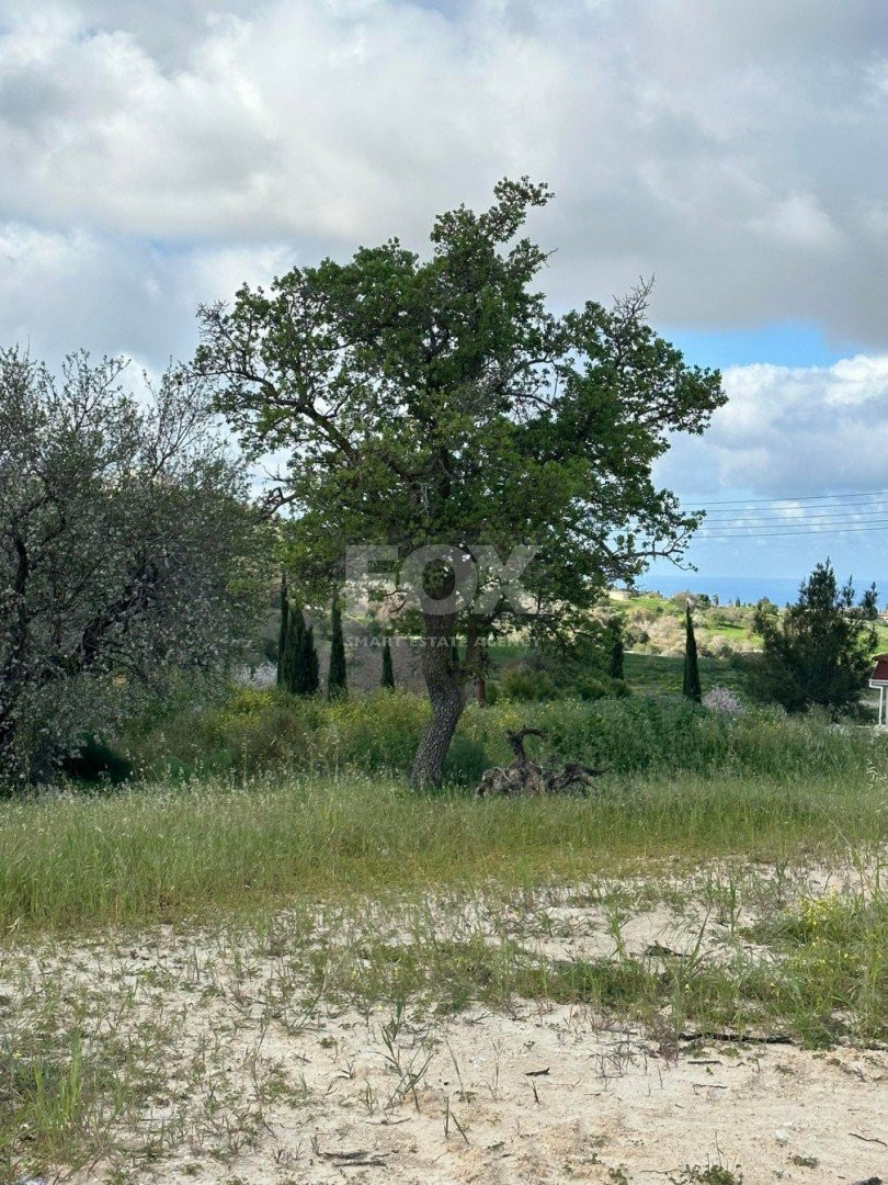 Plot For Sale In Armou Paphos Cyprus