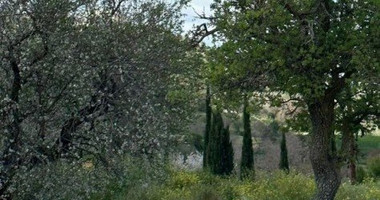 Plot For Sale In Armou Paphos Cyprus