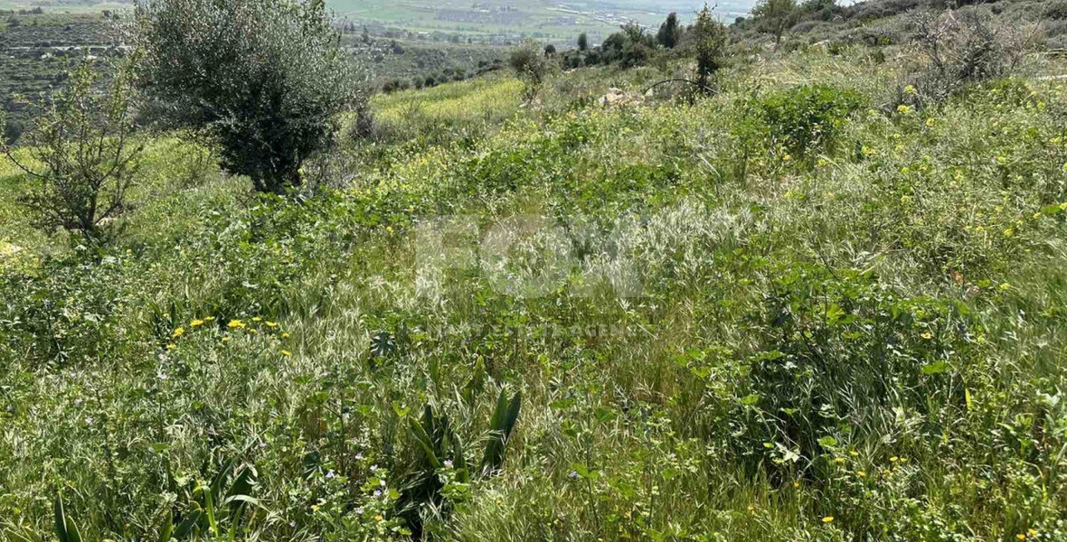 Land For Sale In Anarita Paphos Cyprus