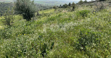 Land For Sale In Anarita Paphos Cyprus