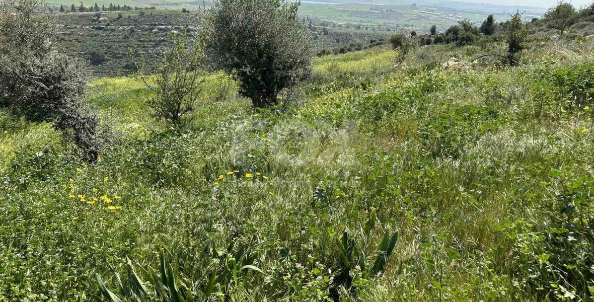 Land For Sale In Anarita Paphos Cyprus