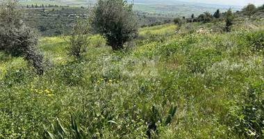 Land For Sale In Anarita Paphos Cyprus