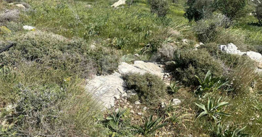 Land For Sale In Anarita Paphos Cyprus