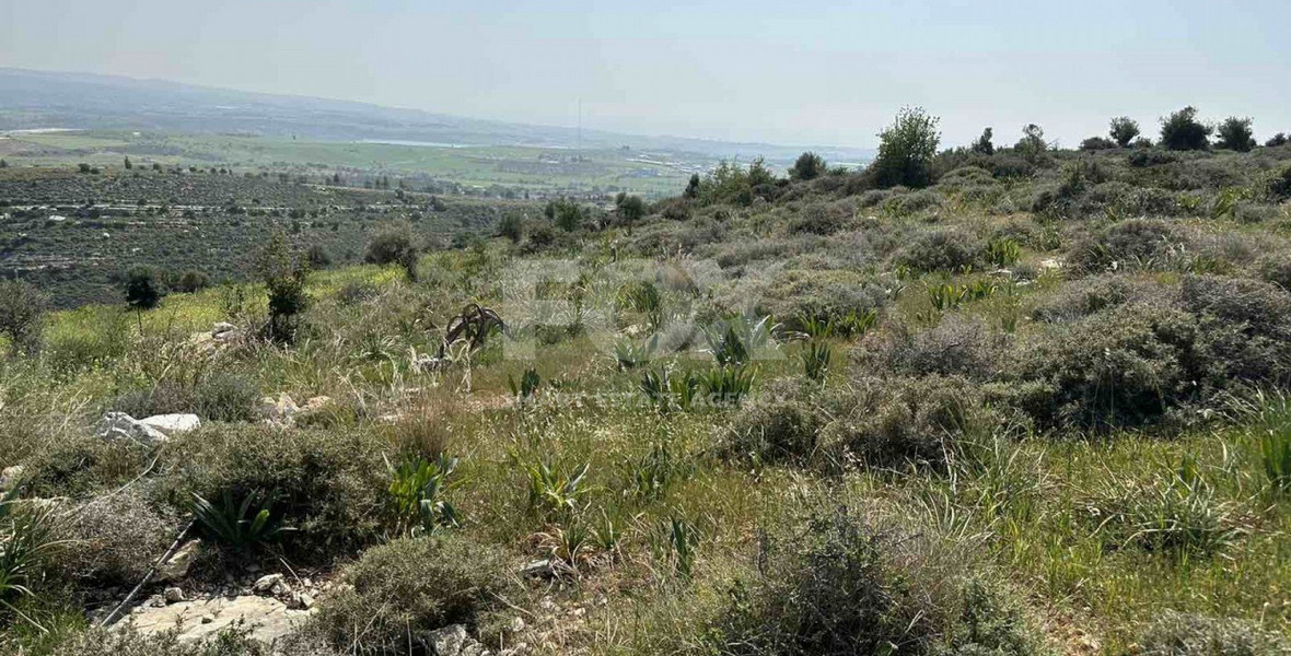 Land For Sale In Anarita Paphos Cyprus