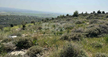 Land For Sale In Anarita Paphos Cyprus