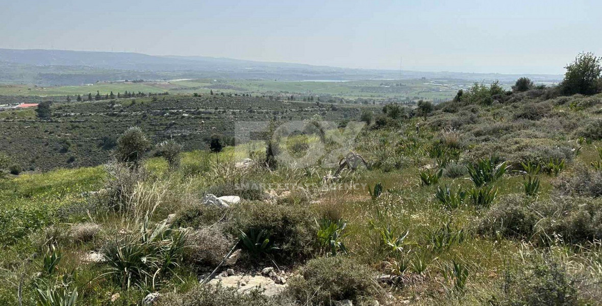 Land For Sale In Anarita Paphos Cyprus