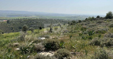 Land For Sale In Anarita Paphos Cyprus