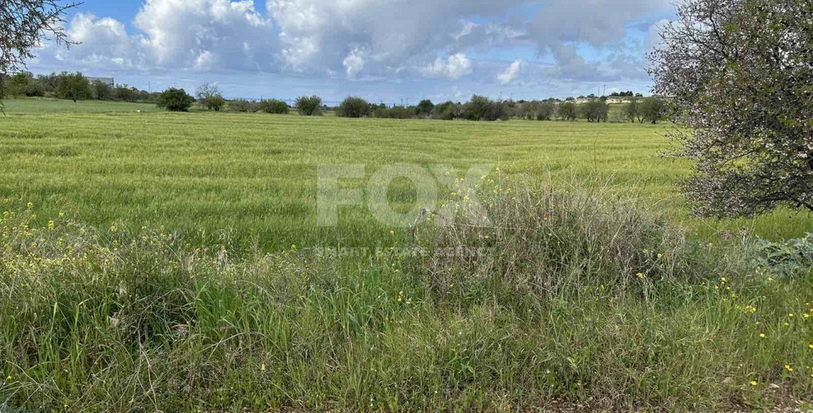 Land For Sale In Anarita Paphos Cyprus