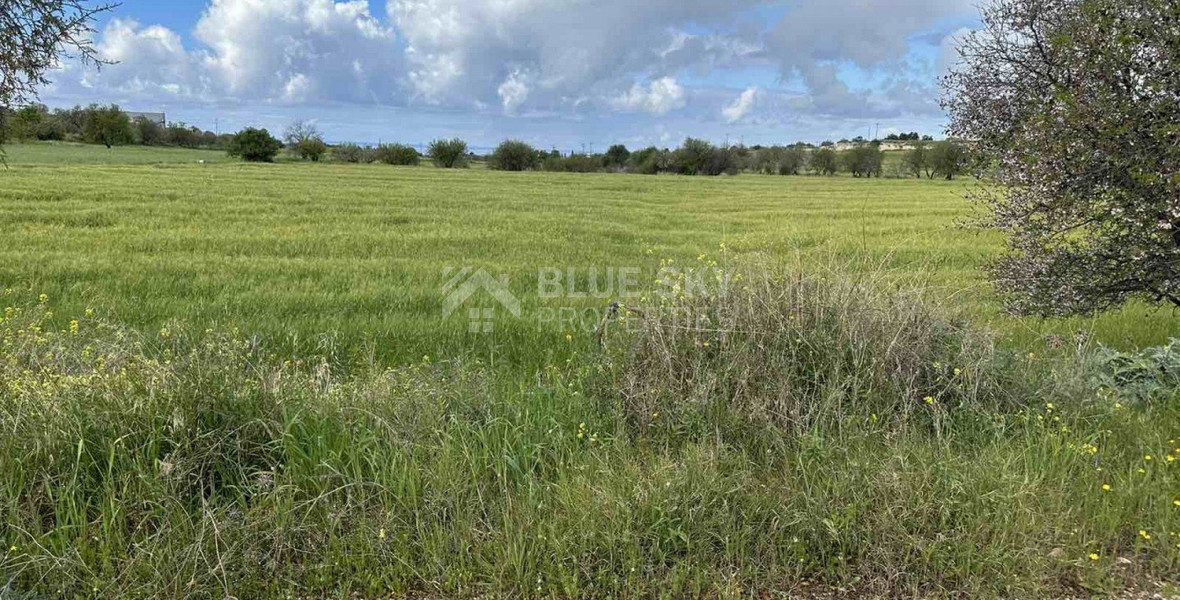 Land For Sale In Anarita Paphos Cyprus